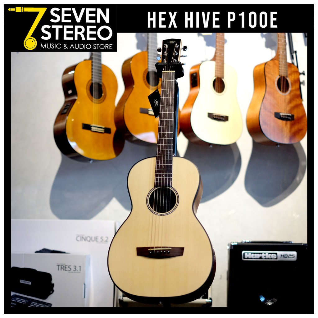 Hex Hive P100 E M Small Size Electric Acoustic Guitar