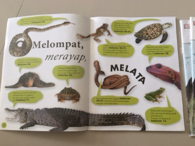 Ensiklopedia Dunia Satwa Katak Dan Hewan Melata Shopee Indonesia