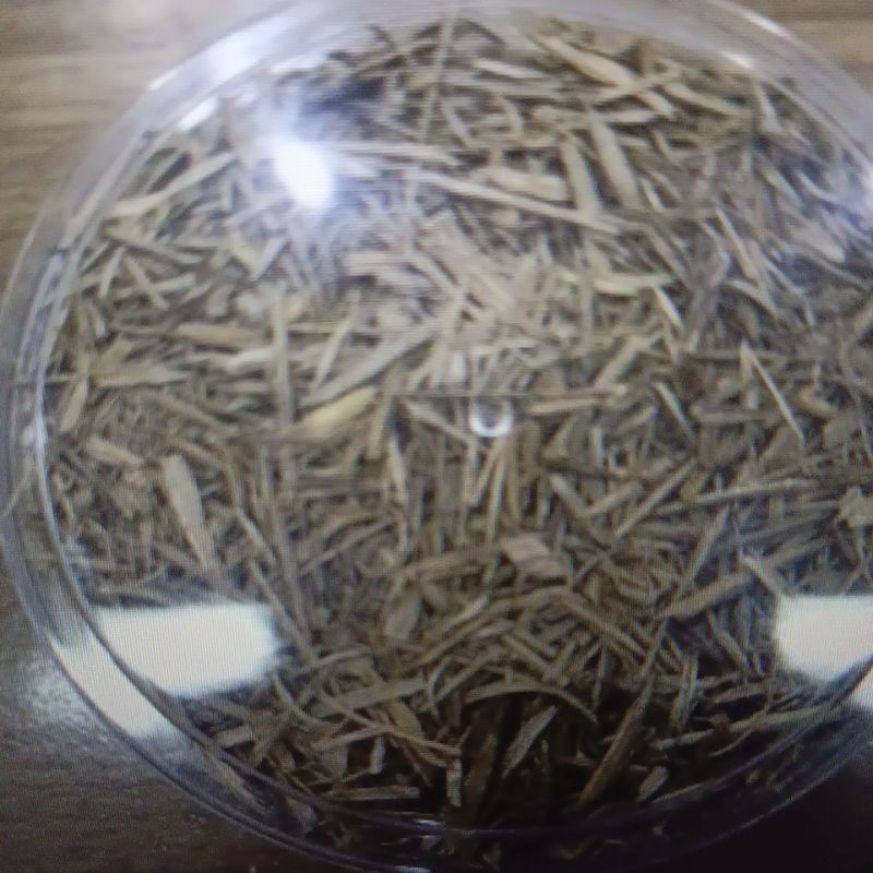 chip kayu gaharu wangi