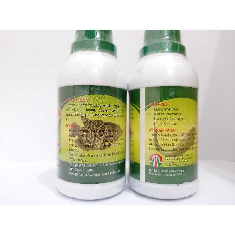 OBAT IKAN ANTI LUMUT NEVER GREEN 250ml TAMASINDO