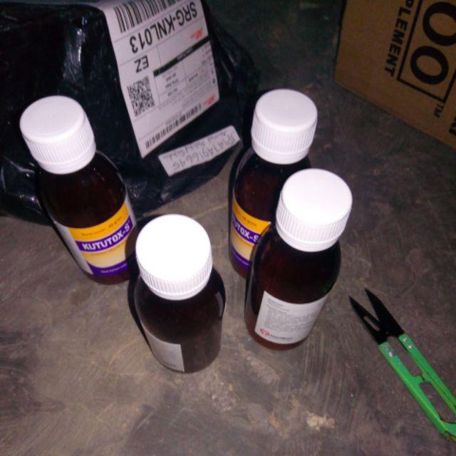 Kututok Obat Semut Dan Kutu