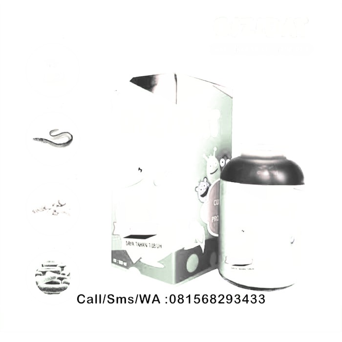 

DISTRIBUTOR GIZIDAT JOGJA - MMD1645