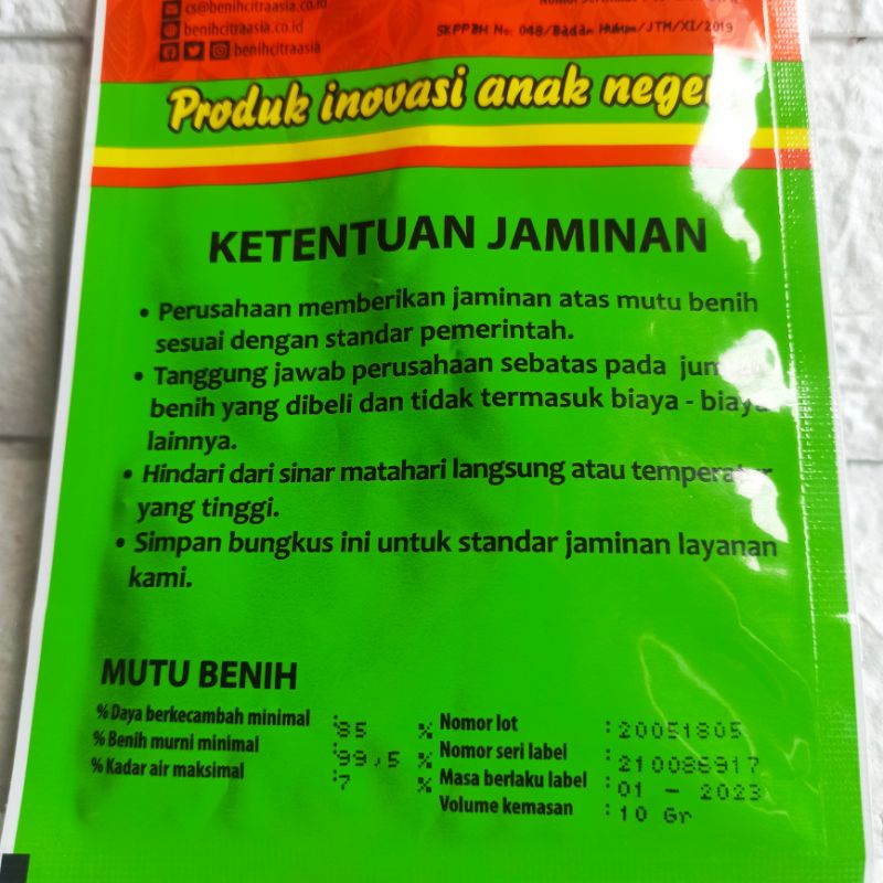 Benih Terong Lalap Hijau Kenari 10 gram Bintang Asia