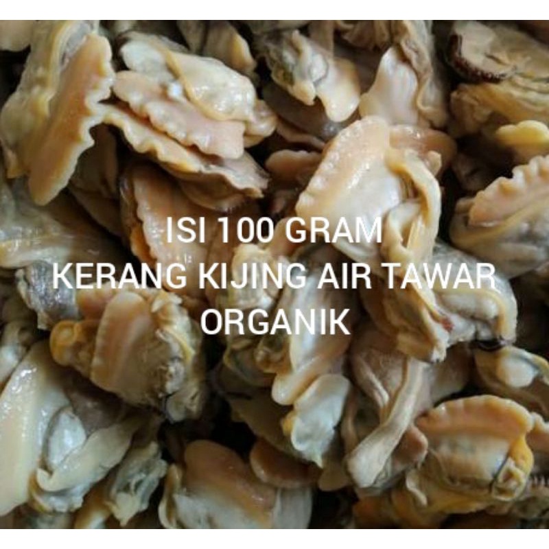 

kerang air tawar/kerang kijing air tawar sudah di kupas 100gram