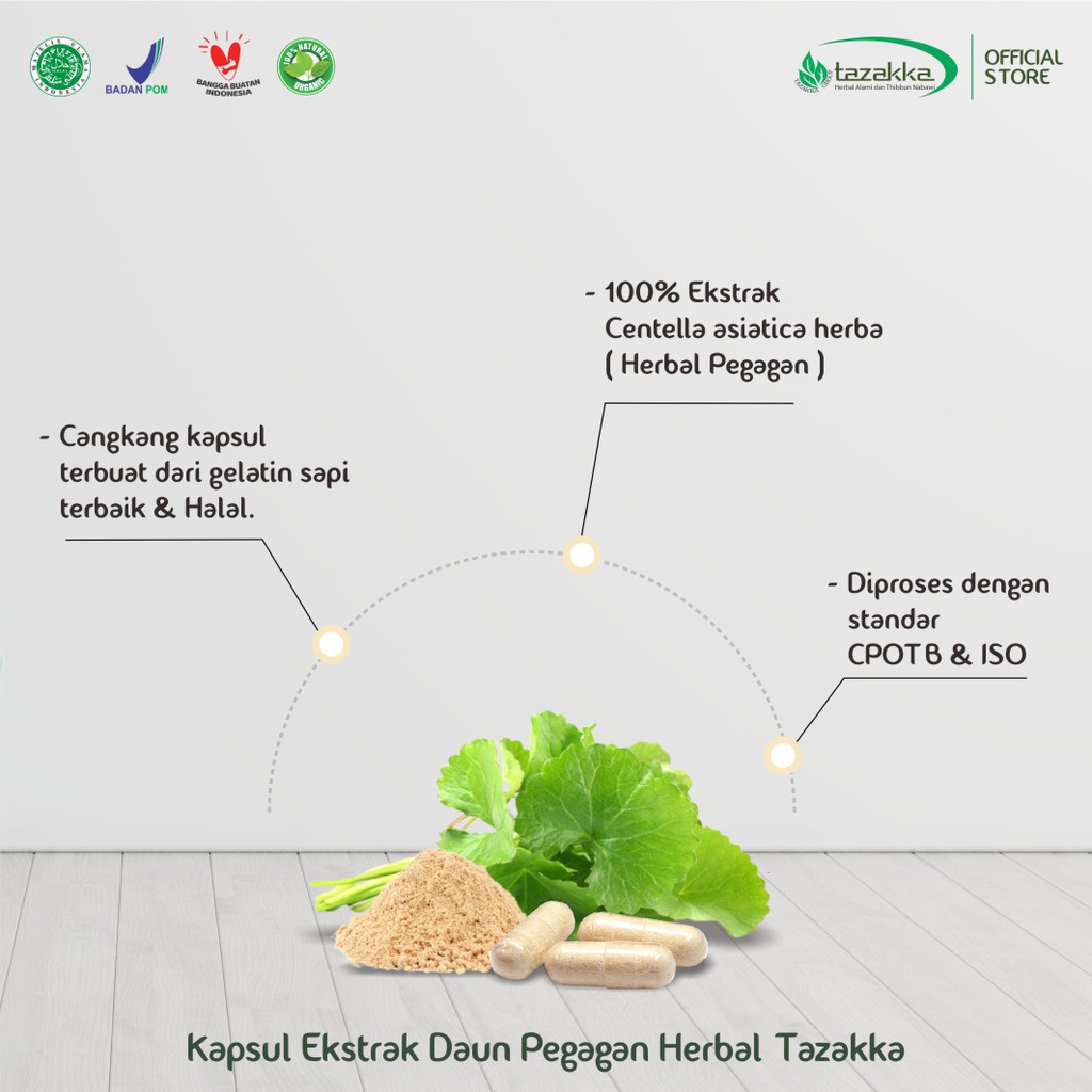 Kapsul Pegagan | Obat sakit Kepala Herbal | Kapsul Herbal Tazakka HALAL BPOM | Isi 60 Kapsul