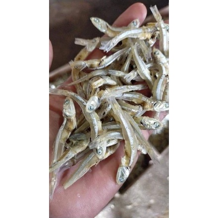 

IKAN ASIN TERI JENGKI 1 KG