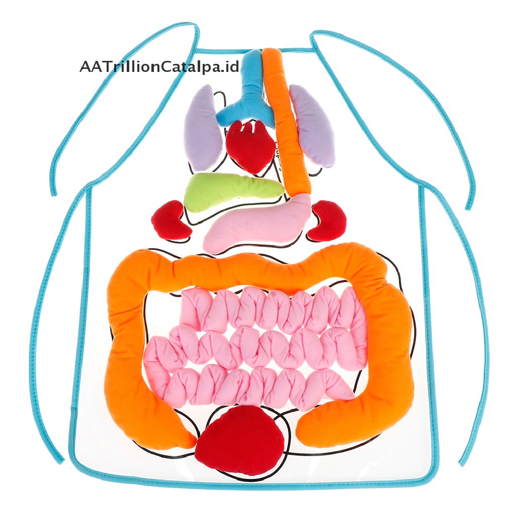 (AATrillionCatalpa) Apron / Celemek Motif Organ Tubuh Manusia Untuk Edukasi Anak