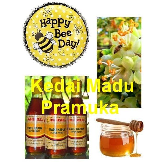 

Madu Pramuka Madu Kapuk 350 ML
