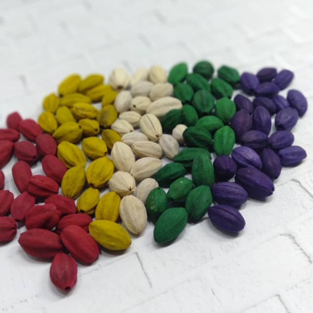 20pcs Biji Mindi biji mino dried flower bijibijian biji kolase