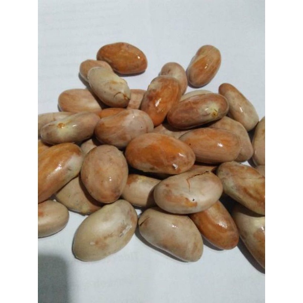 

biji nangka / beton nangka/ 500 gram