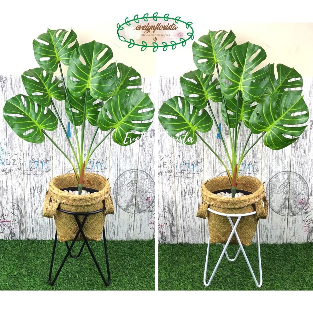

Pohon Daun Monstera Latex X7 Artificial Cover Pot Keranjang Purun Standing Besi Kaki Tiga Dekorasi