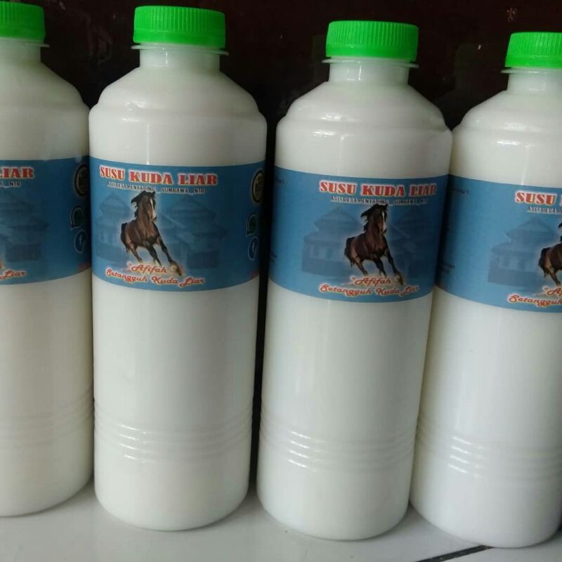 

Susu Kuda Liar Asli Sumbawa