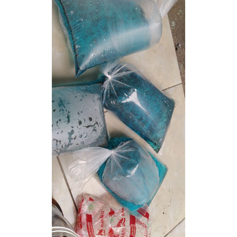 jentik nyamuk / ncuk / encu