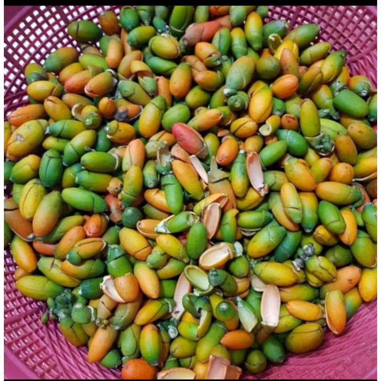 

KULIT MELINJO MENTAH UNTUK SAYUR ASEM 1KG