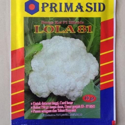 10 gr Benih Kembang Kol Lola 81 Bibit Bunga Brungkul Hibrida Brokoli Putih  Ready