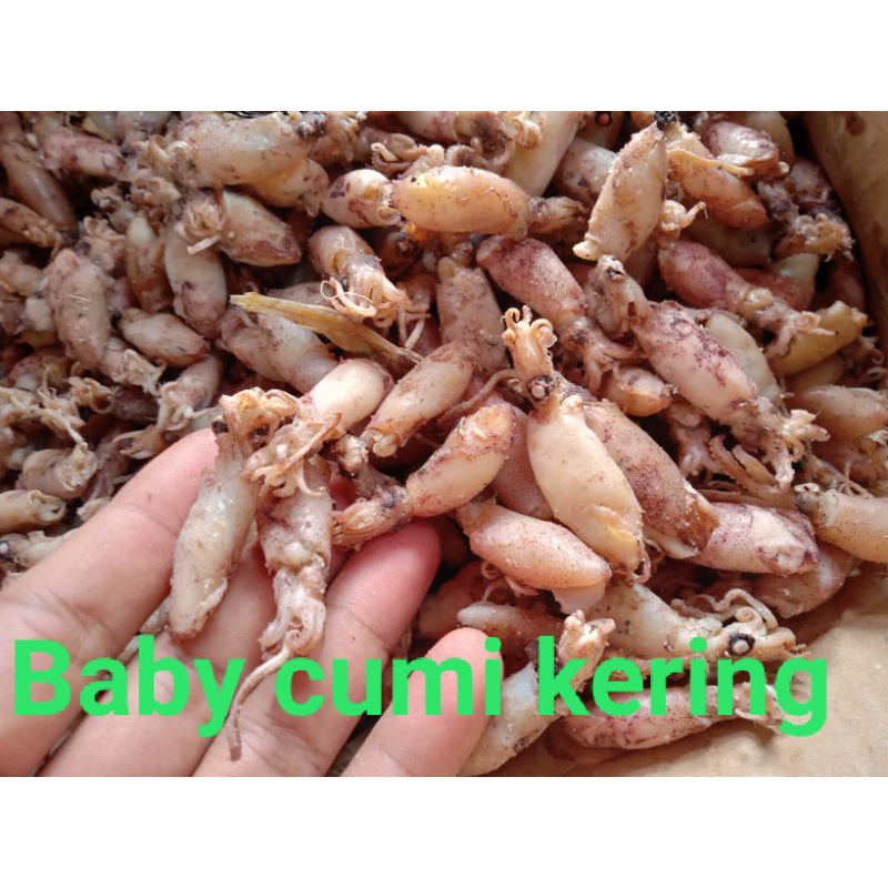 

Baby Cumi/ Baby cumi asin/baby cumi kering