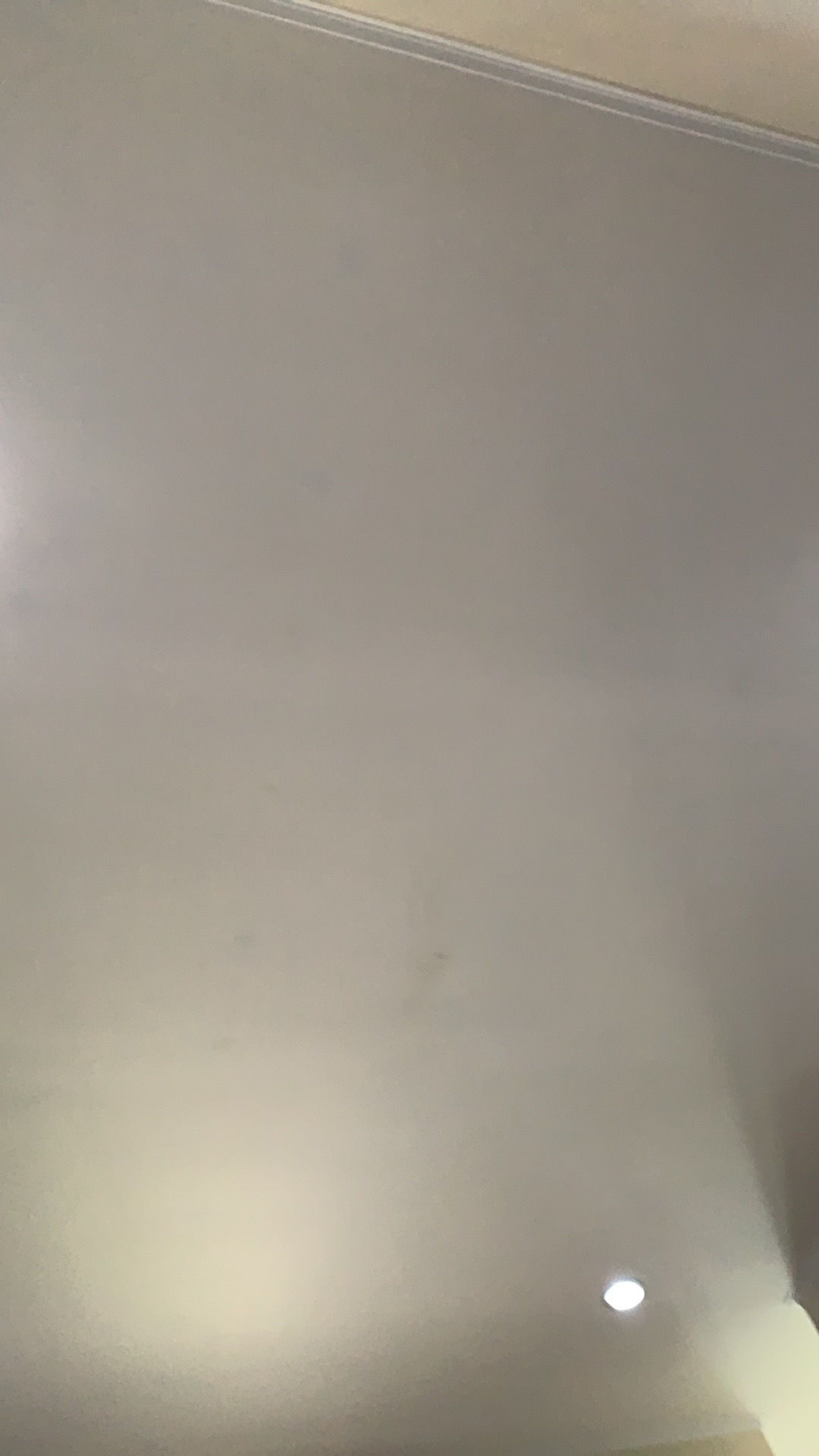 Wadah Silicon Biru Dan Biru Muda