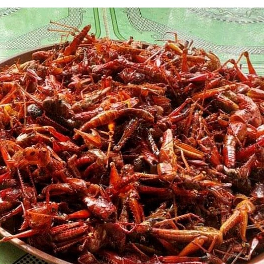 

WALANG KAYU GORENG BUMBU BACEM