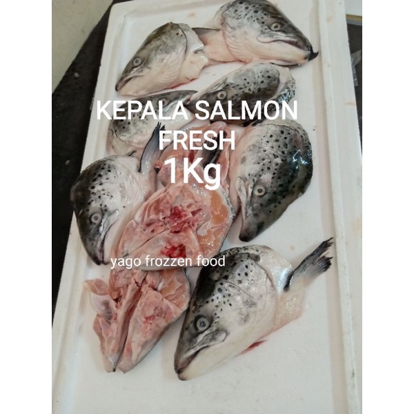 

Kepala Salmon Norwegian Fresh 1KG