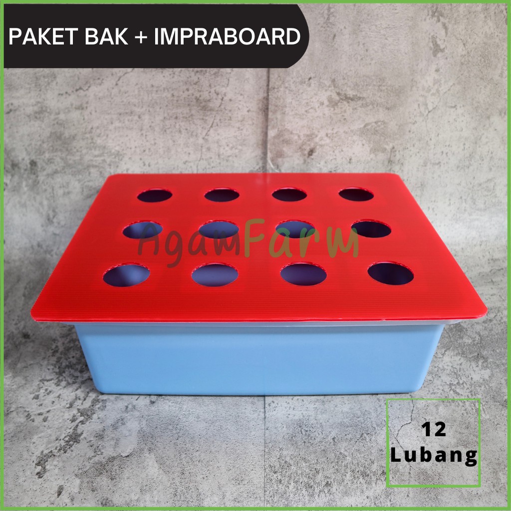 Bak Hidroponik Plus Tutup Impraboard 12 Lubang
