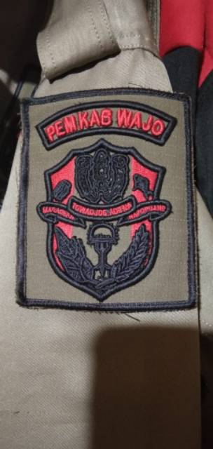 Pol PP Satpol PP Wajo Timbul