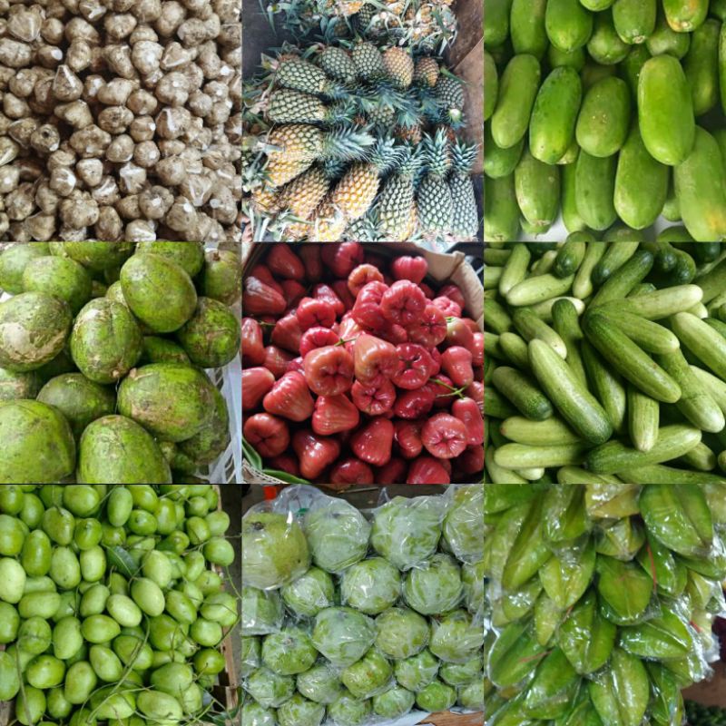 

buah rujakan /1 paket (5 kg minimal 5 macam buah)
