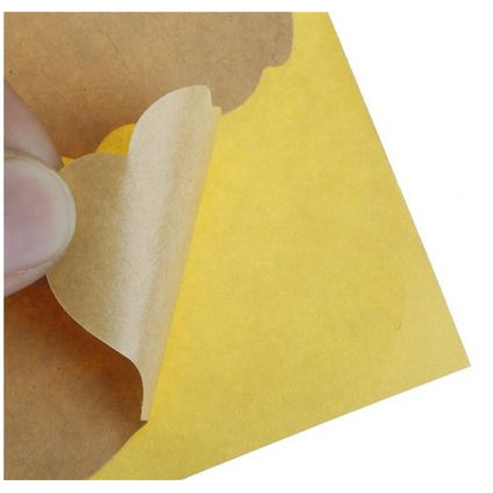 Paper Tags Sticker Label - Blank Irregular Kraft Paper (1sheet/12pcs)