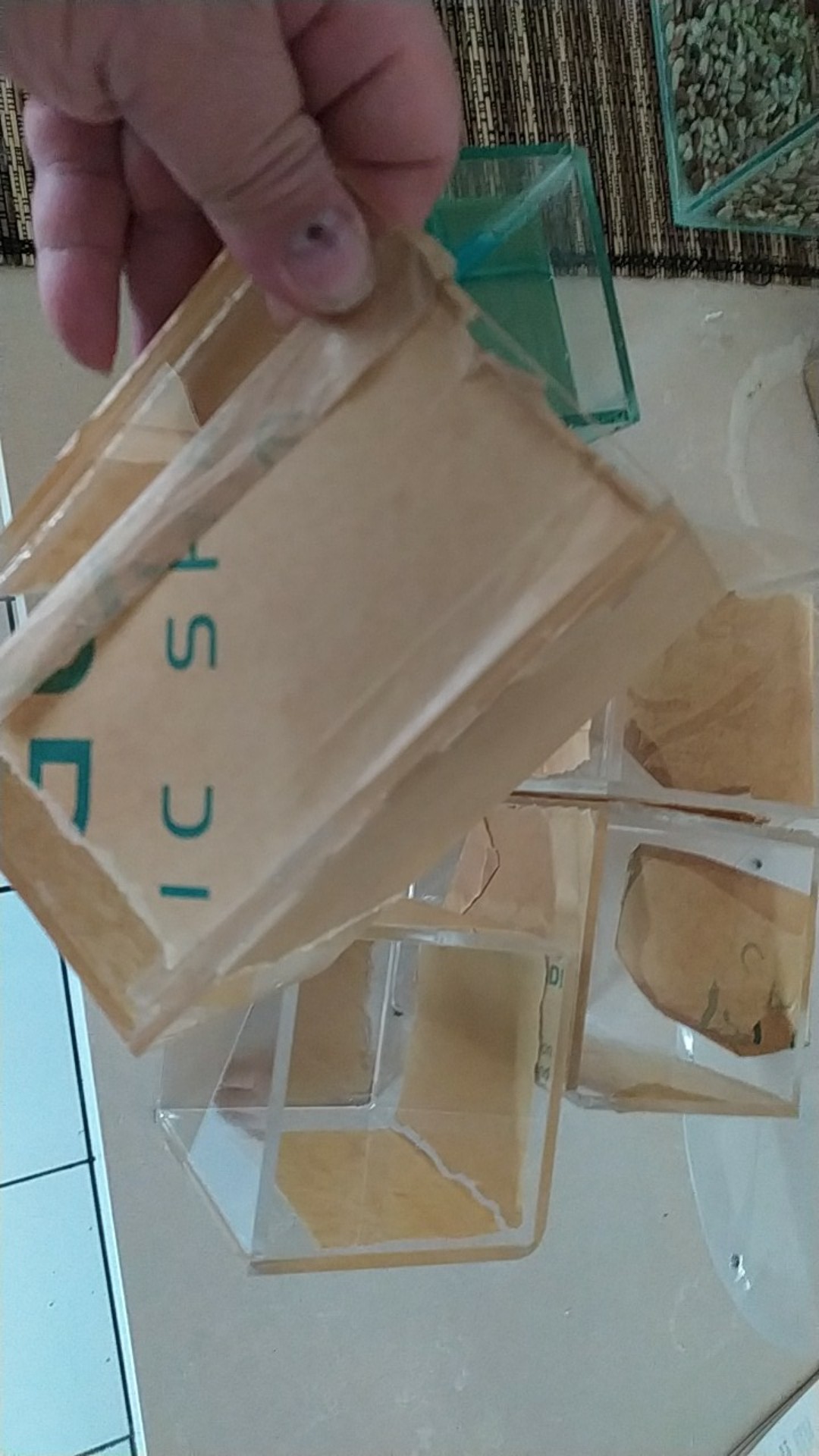 Aquarium Acrylik / Soliter Ikan Cupang, Betta Fish Akrilik, Aquarium Mini.