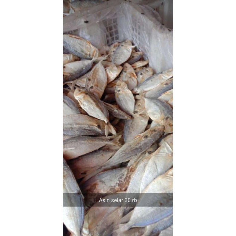 

IKAN ASIN/ SELAR # 1KG