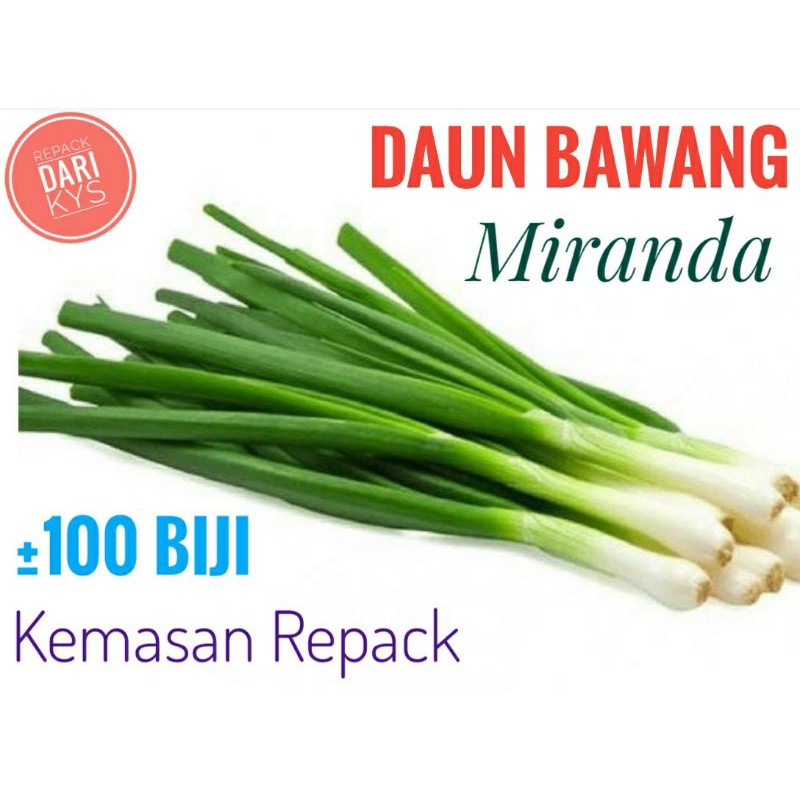 BENIH DAUN BAWANG 100 BIJI