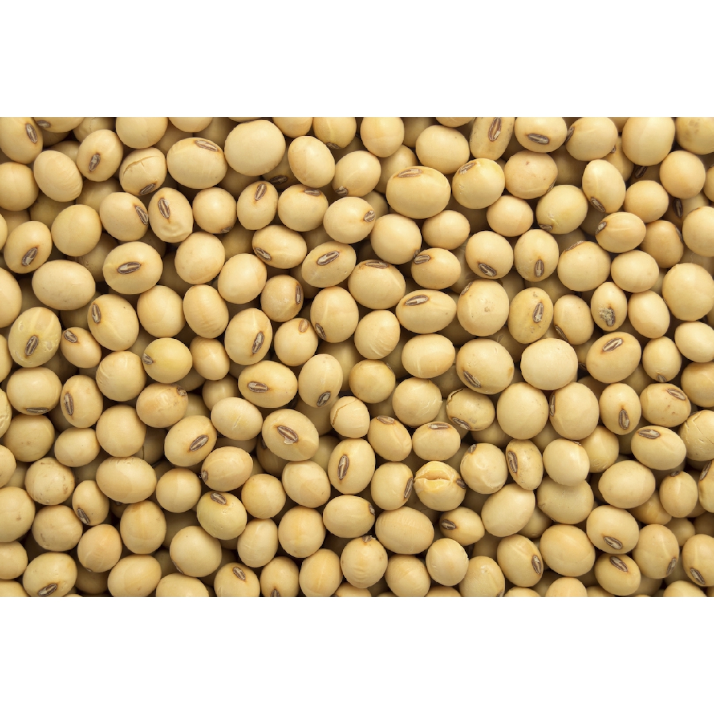

Kacang Kedelai 500 Gram