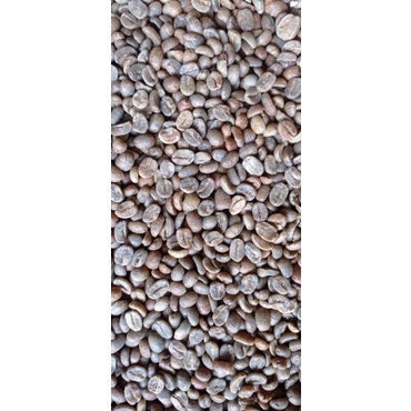 

Grean Bean Natural Yellow Garut