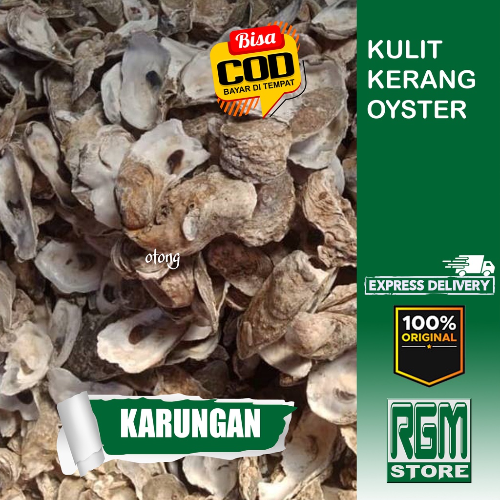 KARUNGAN oyster kulit kerang media filter jaring kolam aquarium ikan