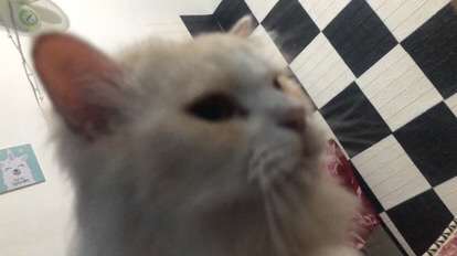 (couple Spesial Lebaran) Nayaka Batik - Batik Couple Amora Maxi | Couple Dress Moscrepe |gamis Busui