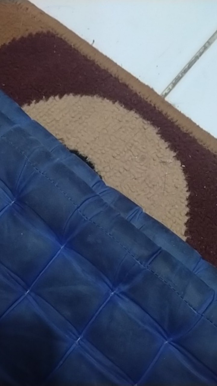 Kemeja Batik Pria Ppbtk07 Modern Lengan Panjang Casual Modis Trendy Masa Kini M L Xl Asli Pekalongan