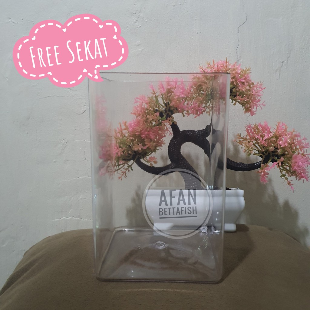 Toples Cupang 2 Liter Paxton Akrilik