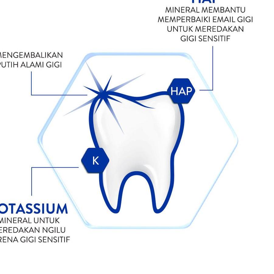 Pepsodent Sensitive Mineral Expert Pasta Gigi Whitening Pasta Gigi Sensitive 100G