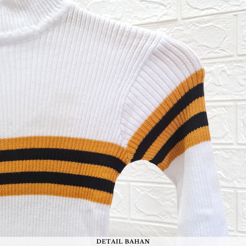 2634 stripe turtleneck knit
