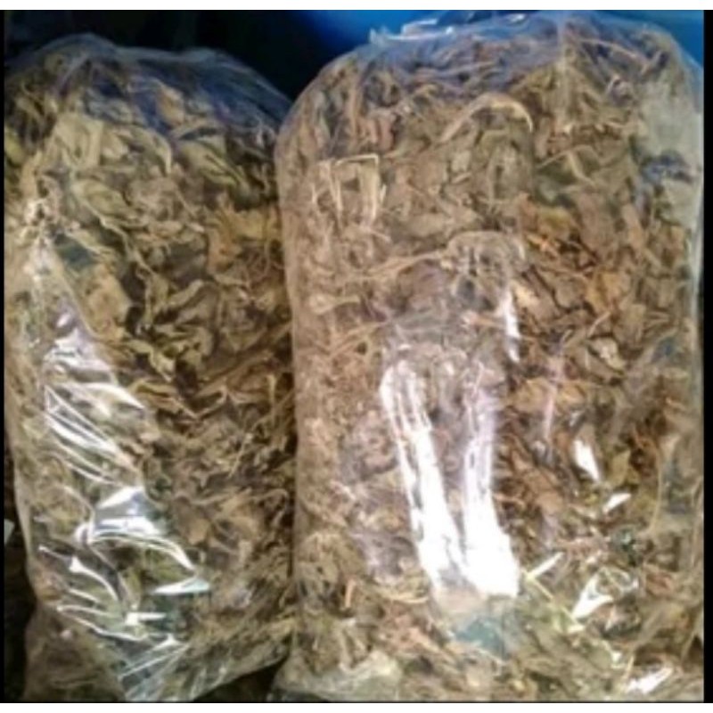 

Daun Dewa Kering Asli Herbal 250gr Kualitas Bagus