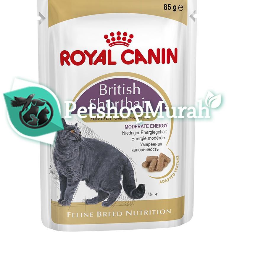 Gratis Ongkir (mqg-770) Royal Canin Adult British Shorthair 85 Gram - Dewasa / Makanan Kucing / We