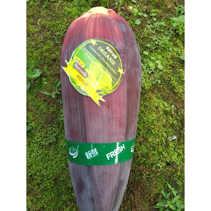 

jantung pisang organik