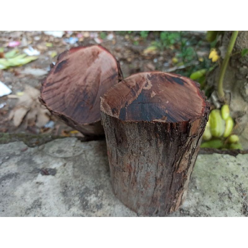 jual bahan kayu stigi full galih. ngurak alami