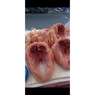 

ayam potong 1/2 kg