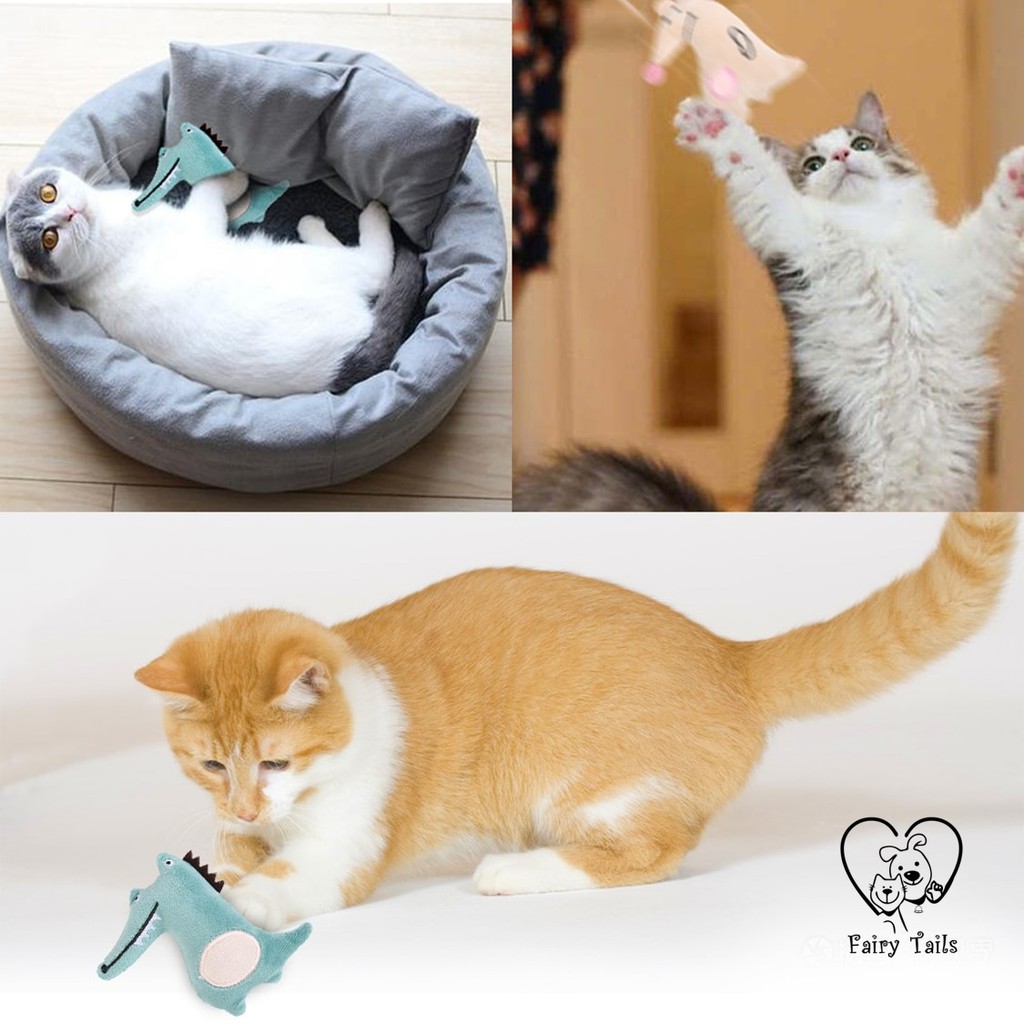 Mainan Kucing Boneka Catnip Bentuk Hewan Dan Kartun Lucu | Catnip Interactive Plush Toys