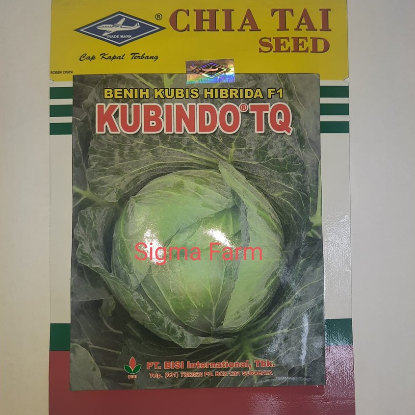 Benih Kubis Kol KUBINDO TQ 20 gram Hibrida F1 Cap Kapal Terbang