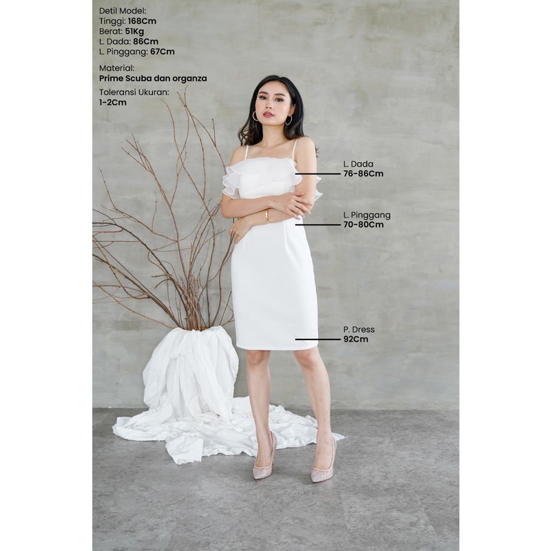 Namina Organza Lux Casual Party Dress