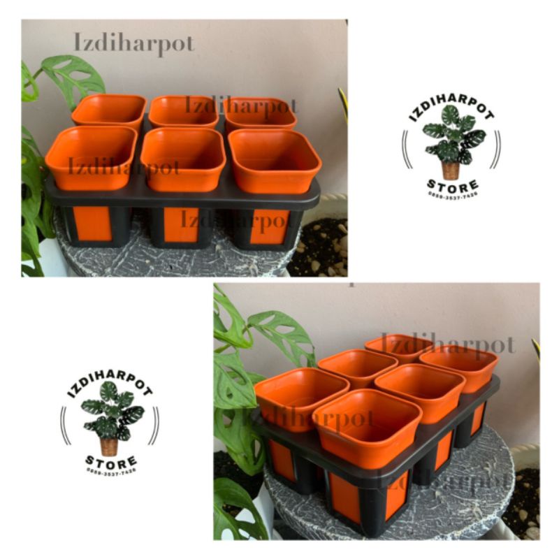 1 set Tray + POT BUNGA NKT KOTAK 7 CM MERAH BATA | tray semai bibit