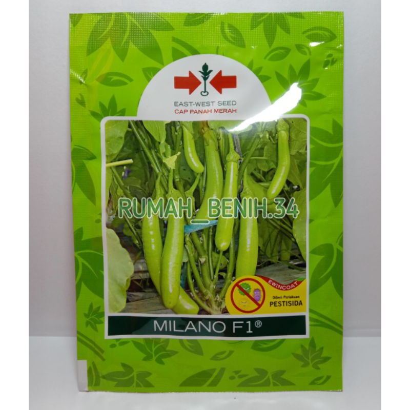 Benih Terong Hijau Milano F1 1.100 Butir @Cap Panah Merah