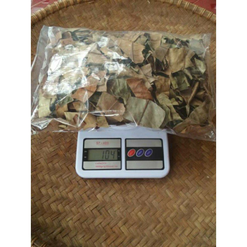 

daun sukun kering
