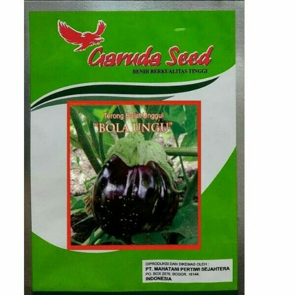 Benih Bibit Terong Lalap BOLA UNGU || Biji Terong Lalap